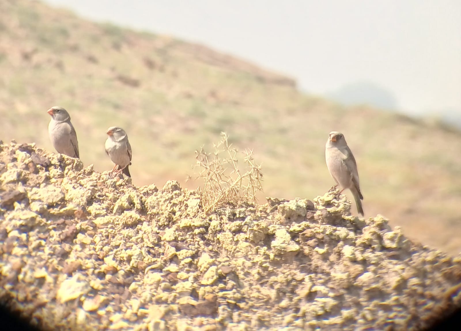 Unscripted safari moment 17